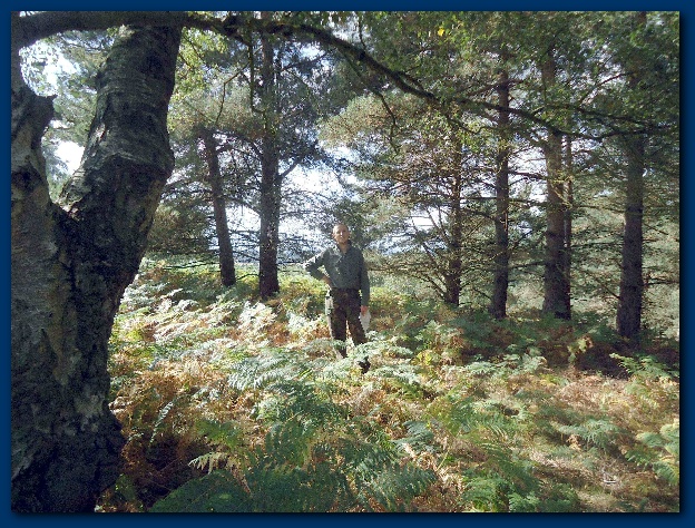 600x449 pixels (216K)